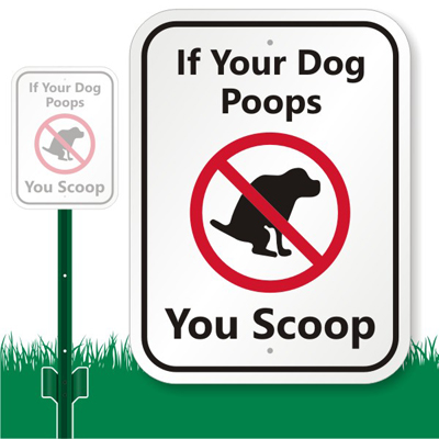 white stuff in dog poop