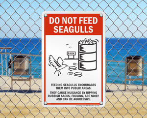Do not feed seagulls sign