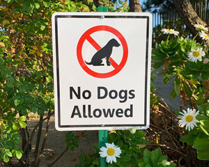 LawnBoss™ Dog Poop Signs - Stake & Kit Included!