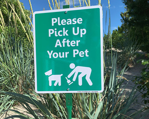 Please keep off grass signs for dogs