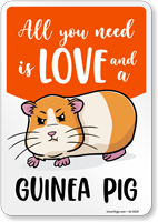 Funny All You Need Is Love And A Guinea Pig Sign
