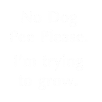 No Dog Pee Please I Am Trying To Grow Engraved Sign