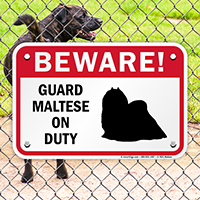Beware Guard Maltese On Duty Sign