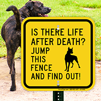 Is There Life After Death Dog Sign