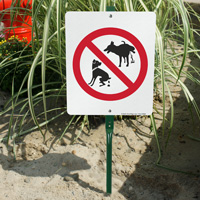 No Dog Pooping And No Dog Peeing Signs