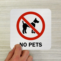 Pet Prohibition Marker for Pool Area