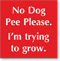 No Dog Pee Please I Am Trying To Grow Engraved Sign