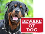 Beware of Dog Signs