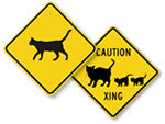 Cat Crossing Signs