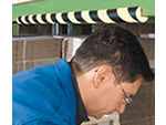 Safety Bumpers for Dock Doors