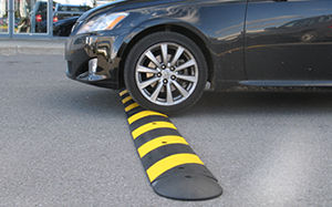 Speed Bumps