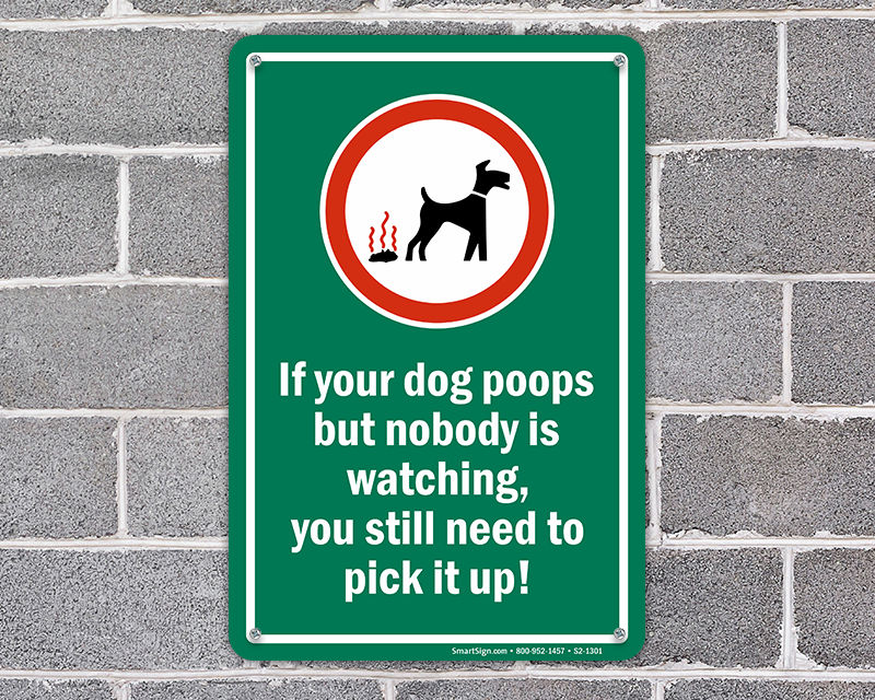 funny dog poop signs uk