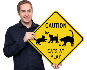 Cats At Play Sign