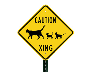 Caution Xing Cat Sign