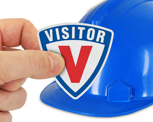 Emblem And Triangle Hard Hat Sticker