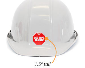 Emblem And Triangle Hard Hat Sticker