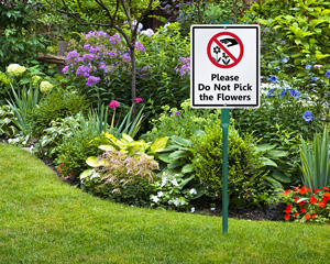 Do Not Pick Flower Sign