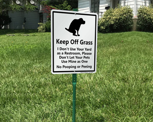 How to keep dogs off your lawn? - Lawns Pedia