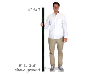 5 Foot Post With Pole