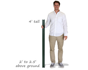 4 Foot Post With Model