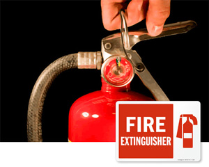 Free Fire Signs to Download