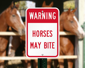 Horses May Bite