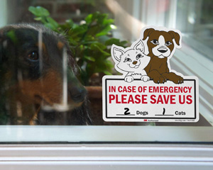 In Case of Emergency Sticker