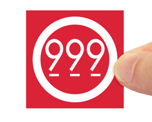 2 'x 2 'Military Standard Labels