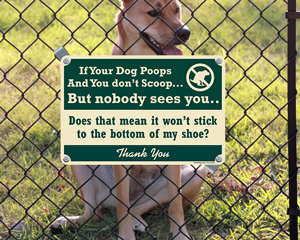 No Dog Pooping Sign