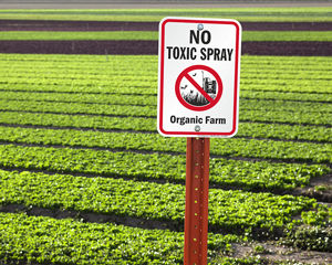 No Spraying Signs