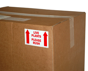 Perishable Labels