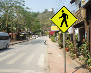 School Traffic Signs