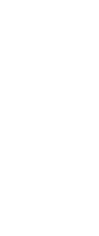 Mother Baby Unit Badge Buddy For Vertical Id