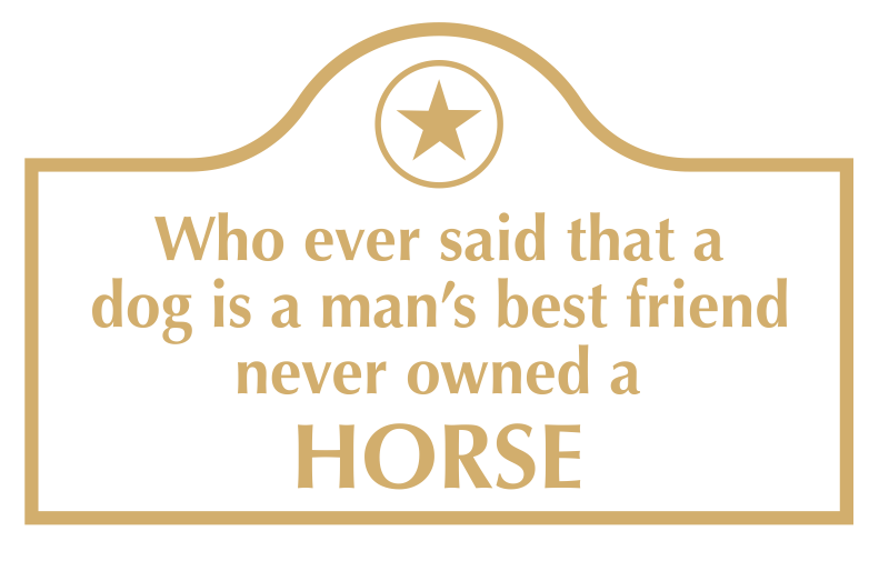 Funny Horse Engraved Arch Marker