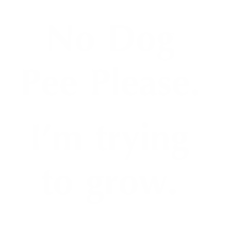 No Dog Pee Please I Am Trying To Grow Engraved Sign