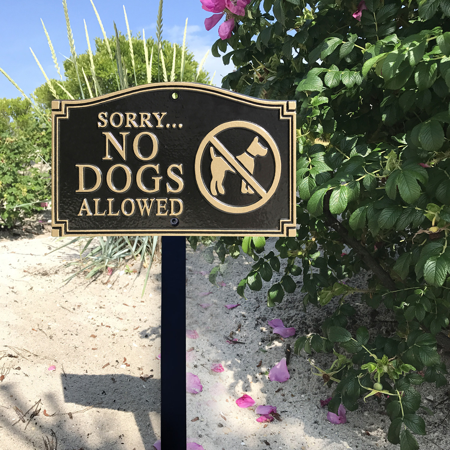 No Dogs Allowed Statement Lawn Plaque Signs