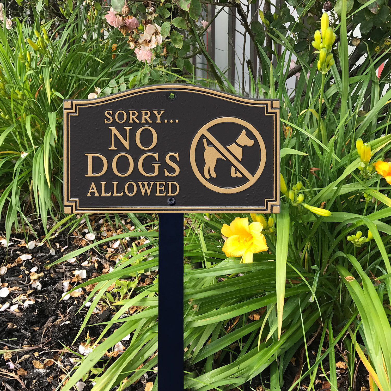 Amazon.com: No Dogs Allowed Sign. 9x12 Metal. Dog Canine