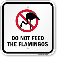 Square Do Not Feed The Flamingos With General Prohibition Symbol Sign