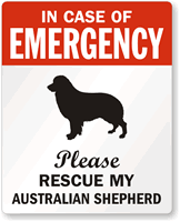 Australian Shepherd Emergency