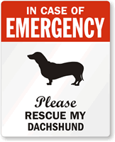 In Case Of Emergency Please My Dachshund Label