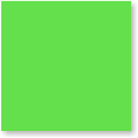 Fluorescent Green Color Coded Label
