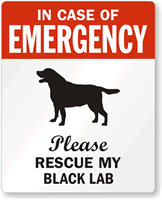In Case Emergency Rescue My Black Lab Label