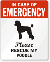 In Case Of Emergency Please My Poodle Label