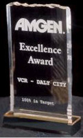 Ice Top Acrylic Award