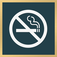 No Smoking Graphic Only