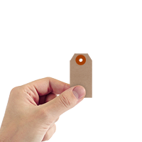 Recycled Kraft 11-point Cardstock Tags