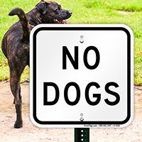 No Dogs Sign