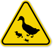 ISO Duck and Ducklings Crossing Symbol Warning Sign