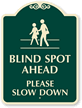 Blind Spot Ahead, Please Slow Down SignatureSign