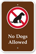 No Dogs Allowed with Graphic Sign